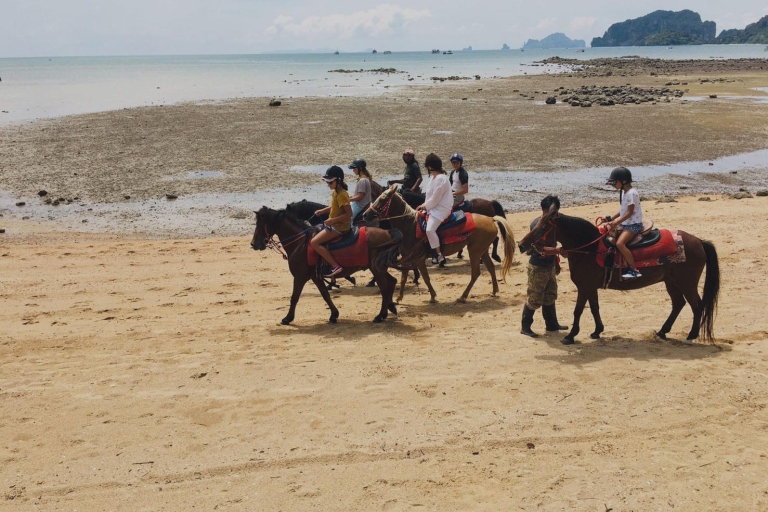 Krabi: paseos a caballo en la playaCabalgata de una hora en la playa