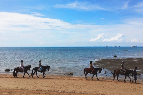 Krabi : équitation sur la plageBalade à cheval de deux heures sur la plage