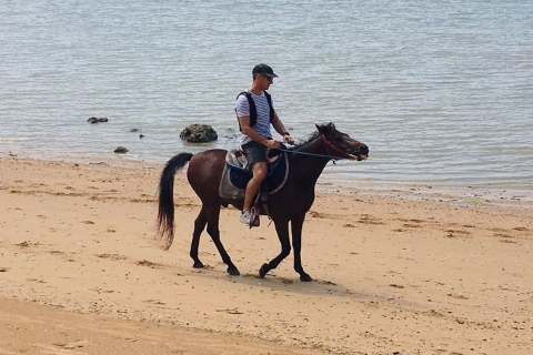 Krabi : équitation sur la plageBalade à cheval de deux heures sur la plage