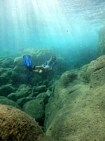 Schnorchel -Tour in Levanto und entdecken Sie die Wunder des Meeres! - Housity