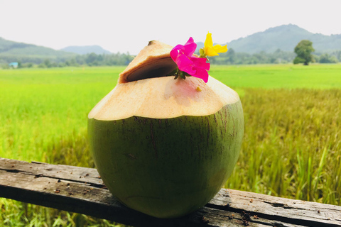 Koh Yao Noi: The Local Way of Life Eco Half-Day Tour The Local Way of Life Eco Half-Day Tour with Lunch