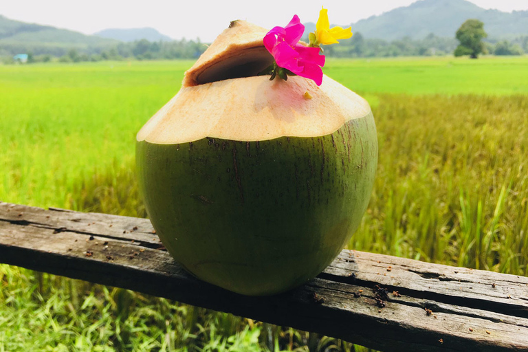 Koh Yao Noi: The Local Way of Life Eco Half-Day Tour The Local Way of Life Eco Half-Day Tour with Lunch