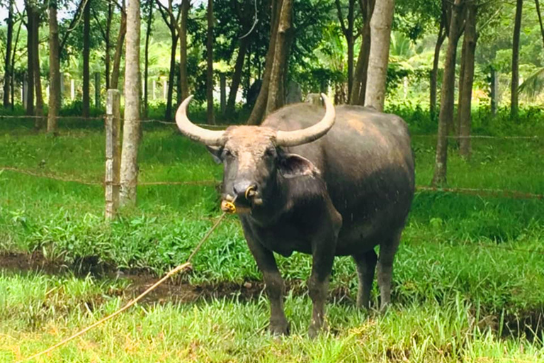 Koh Yao Noi: The Local Way of Life Eco Half-Day Tour The Local Way of Life Eco Half-Day Tour with Lunch