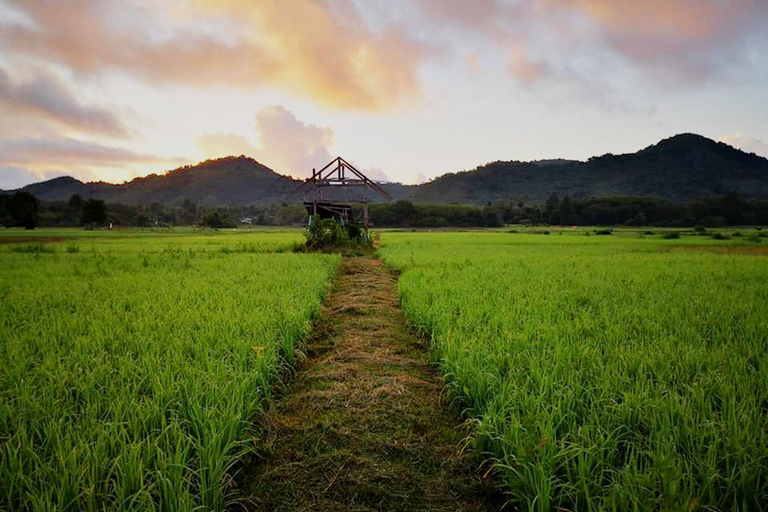 Koh Yao Noi: The Local Way of Life Eco Half-Day Tour The Local Way of Life Eco Half-Day Tour with Lunch