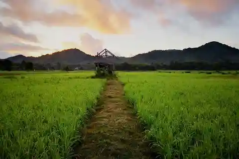 Koh Yao Noi: The Local Way of Life Eco Half-Day Tour