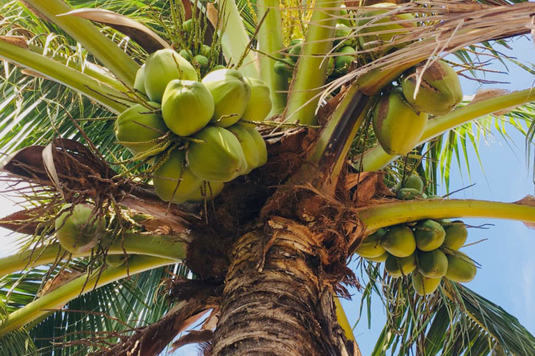 Koh Yao Noi: The Local Way of Life Eco Half-Day Tour The Local Way of Life Eco Half-Day Tour with Lunch