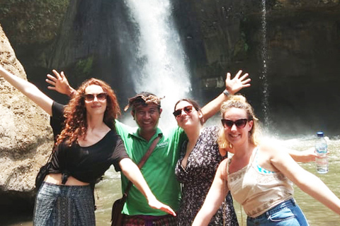 Bali: Gitgit and Alingaling Waterfalls Small Group TourPrivate Tour with Entrance Fees