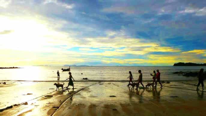ko lanta animal welfare sightseeing tour
