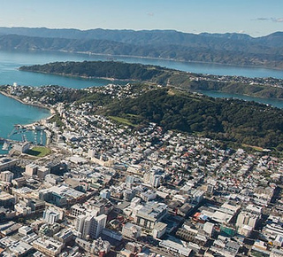 Airplane Tours in Wellington