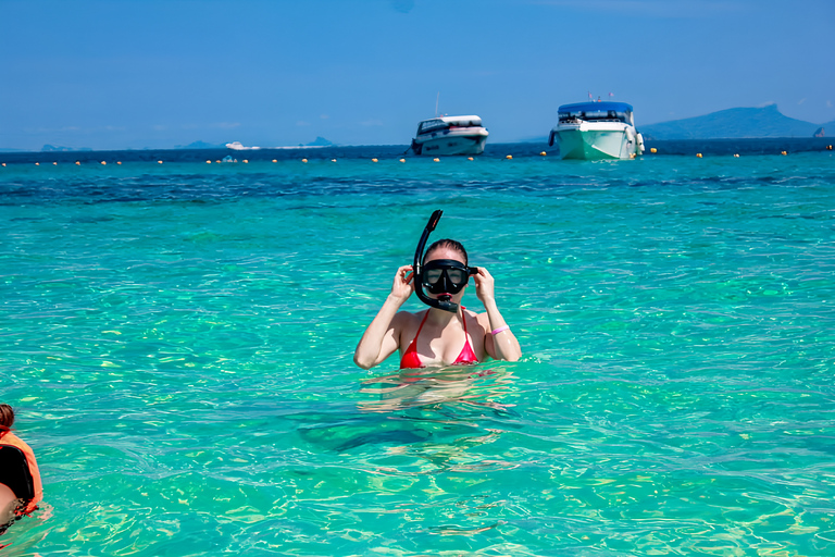 Phuket: excursión a la bahía de Maya y la isla de Khai en catamarán rápidoPhuket: excursión de un día a las islas Phi Phi y Maya Bay con almuerzo incluido