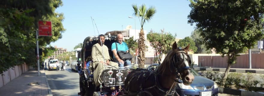 Visite de la ville de Louxor en calèche Visite locale