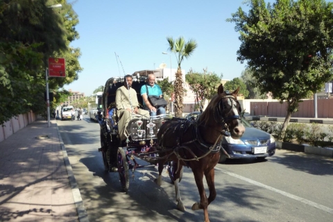 Luxor: City Tour en coche de caballos desde la orilla este