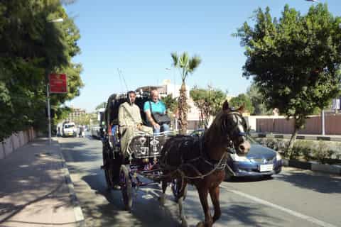 Luxor: City Tour by Horse Carriage from the East Bank