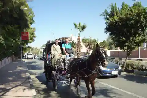 Visite de la ville de Louxor en calèche Visite locale