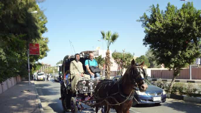 luxor city tour by horse carriage from the east bank