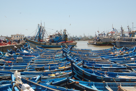 Essaouira: Tagestour Geschichte und KulturEssaouira: Geschichte und Kultur Tagesausflug