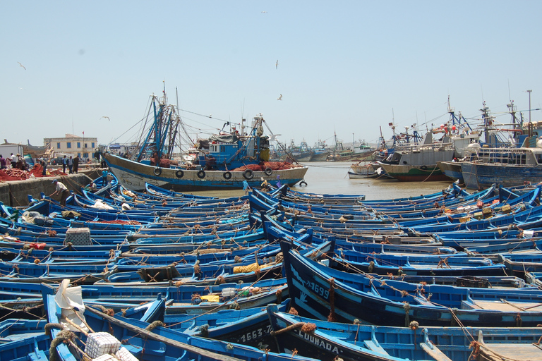 Essaouira: Excursión de un día de Historia y CulturaEssaouira: Excursión de un día a la Historia y la Cultura