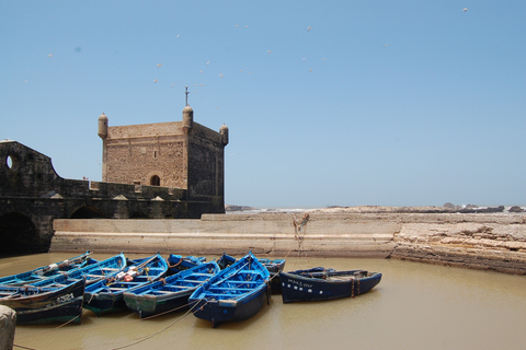 Essaouira: Viagem de 1 dia pela história e culturaEssaouira: viagem de um dia à história e cultura