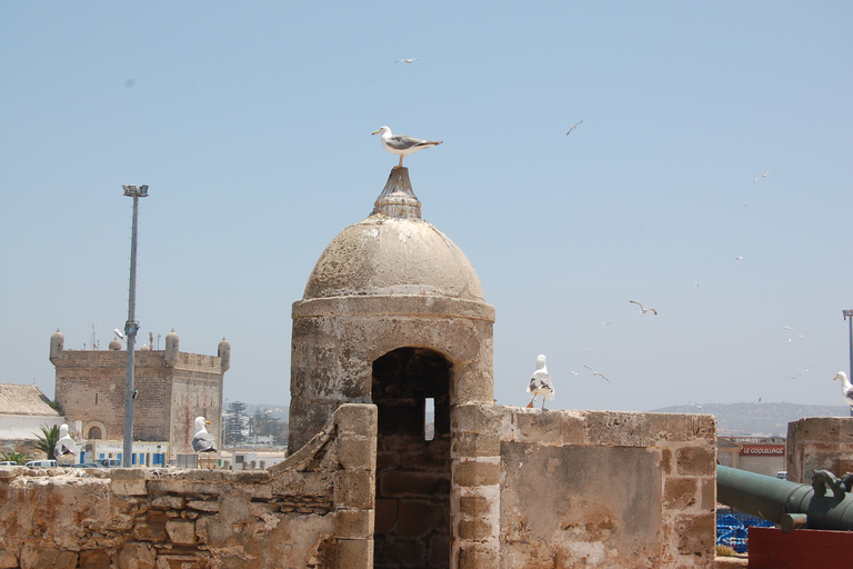 Essaouira: Excursión de un día de Historia y CulturaEssaouira: Excursión de un día a la Historia y la Cultura