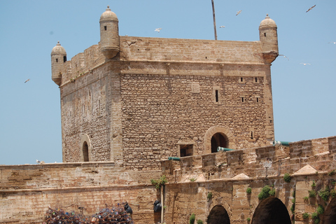 Essaouira: escursione di un giorno all&#039;insegna della storia e della culturaEssaouira: gita di un giorno di storia e cultura