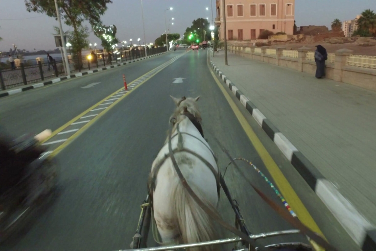 Luxor: stadstour per paard en wagen vanaf de oostelijke oever