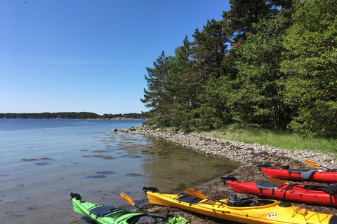 Stockholm: Eco-vriendelijke kajaktocht van een hele dag door de archipel