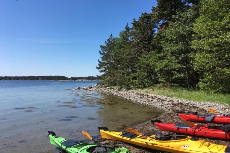 Stockholm: Full-Day Archipelago Eco-Friendly Kayaking Tour