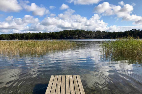 Stockholm: excursion d'une journée en kayak écologique dans l'archipel