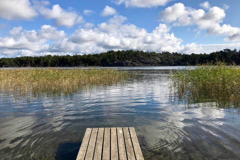 Stockholm: excursion d'une journée en kayak écologique dans l'archipel