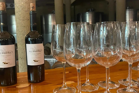 Viña Haras de Pirque Wine Experience