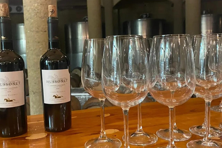 Viña Haras de Pirque Wine Experience