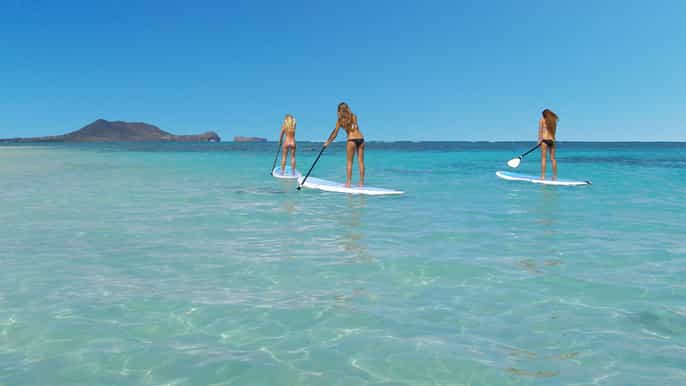 kailua 2.5hour sup lesson