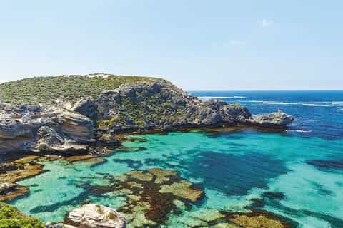 From Perth or Fremantle: Rottnest Island Ferry and Bus Tour