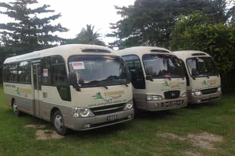Port Vila: Airport to Hotel Private Transfer Service