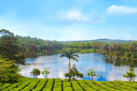 Mauritius: Bois Cheri, Saint Aubin i rezerwat La Vanille