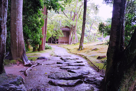 نارا: جولة في حدائق يوشيكين وإيسوئين مع حفل شاي