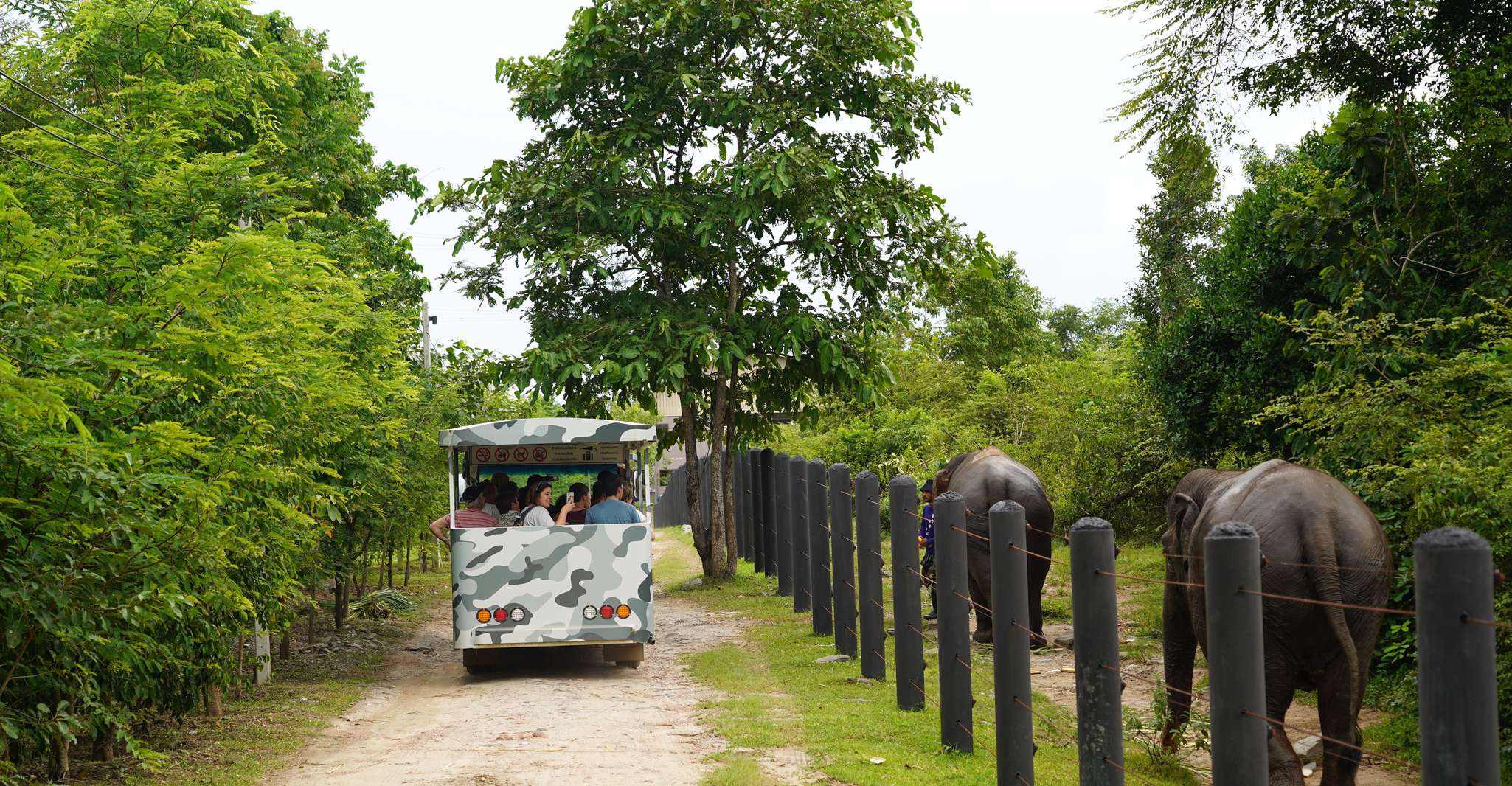 Hua Hin, Wildlife Friends Foundation Thailand Full-Day Visit - Housity