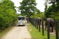 Hua Hin, Wildlife Friends Foundation Thailand Ganztägiger Besuch - Housity