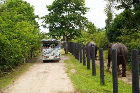 Hua Hin: Wildlife Friends Foundation Thailand Full-Day Visit Pickup from Pranburi and Phetchaburi