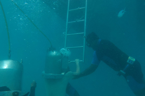 Grand Baie: caminata de aventura submarina con energía solarGrand Baie: paseo submarino con energía solar