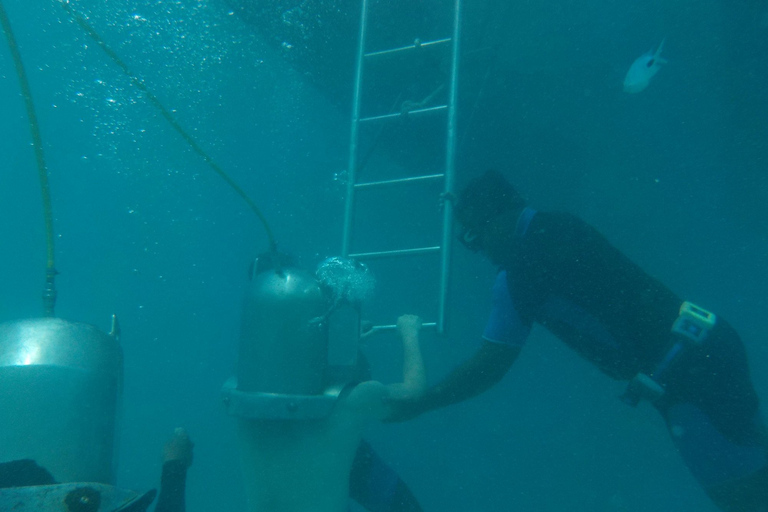 Grand Baie: caminata de aventura submarina con energía solarGrand Baie: paseo submarino con energía solar