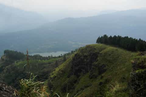 Peacock Hill Trek