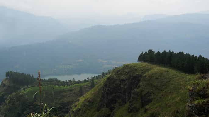 peacock hill trek