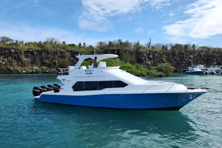 Santa Cruz: Ferry ticket to Isabela Island