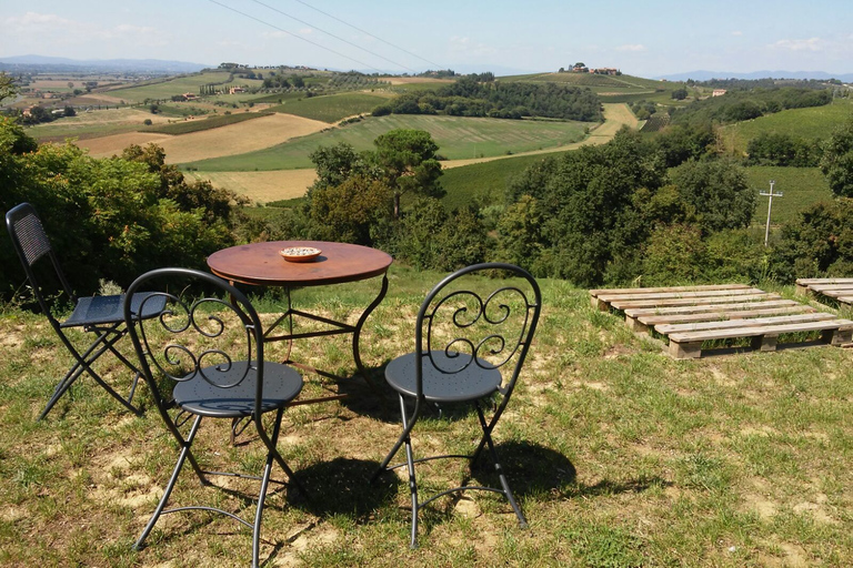 Au départ de Florence : Sienne, Cortona, Montepulciano et Val d'Orcia