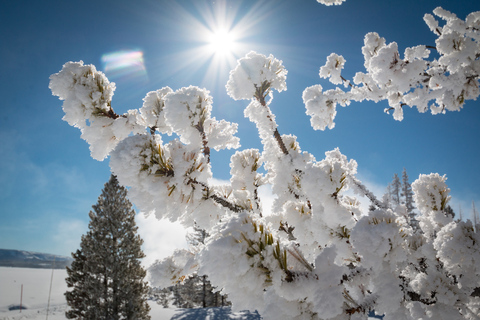 Jackson: Yellowstone Snowmobile Tour to Old Faithful Two Seat Snowmobile - Driver and Passenger