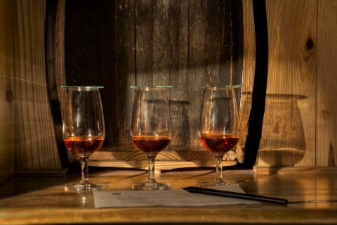 San Pedro De Macoris: Wycieczka po fabryce rumu Ron BarcerlóImperial Experience - Rum Tour i Premium Tastig w piwnicy