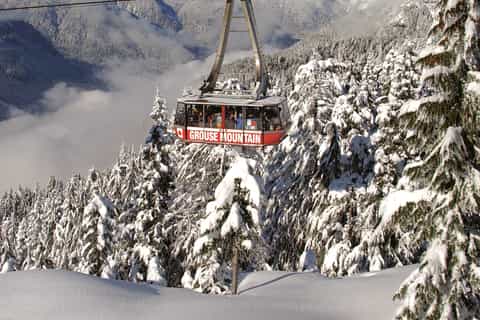Vancouver: Grouse Mountain Admission Ticket