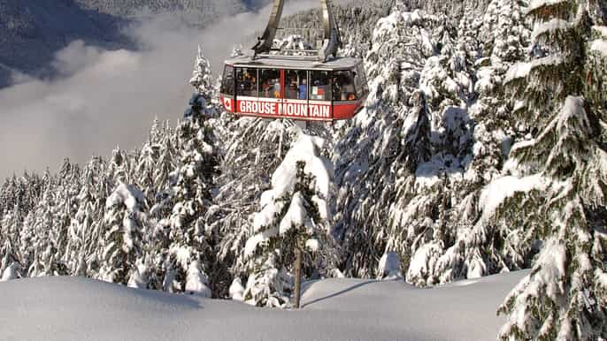 vancouver grouse mountain admission ticket