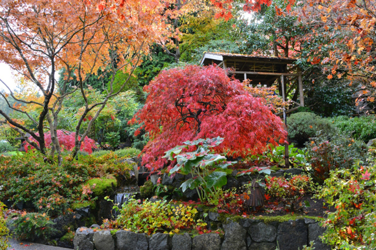 Victoria and Butchart Gardens Christmas TourVictoria and Butchart Gardens Christmas Tour from Vancouver